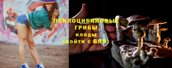 марки nbome Алексеевка