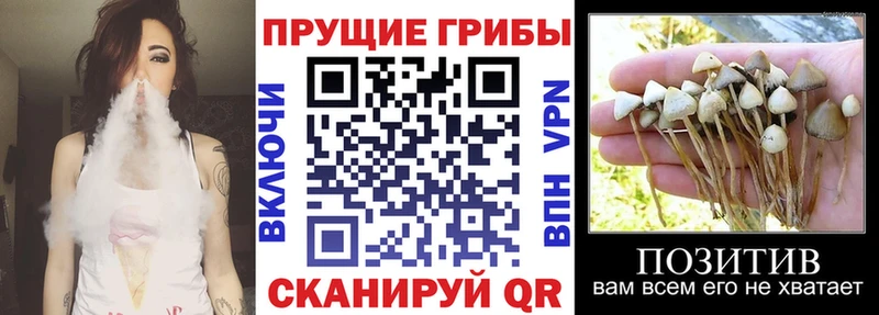 Псилоцибиновые грибы мухоморы  наркошоп  Сунжа 