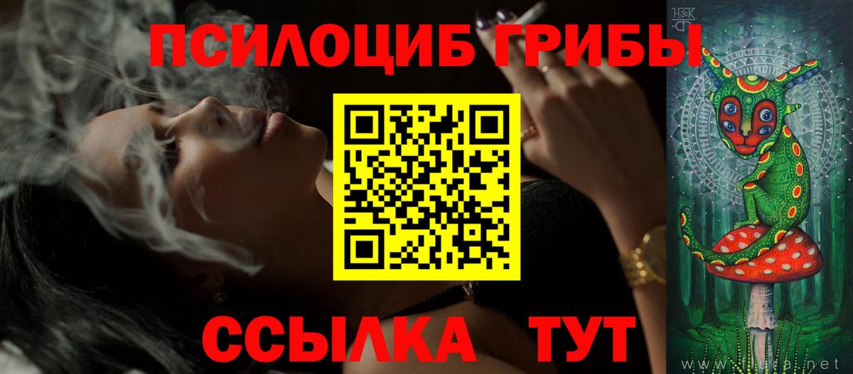 Псилоцибиновые грибы прущие грибы  Вход с VPN  Сунжа  Псилоцибиновые грибы мицелий 