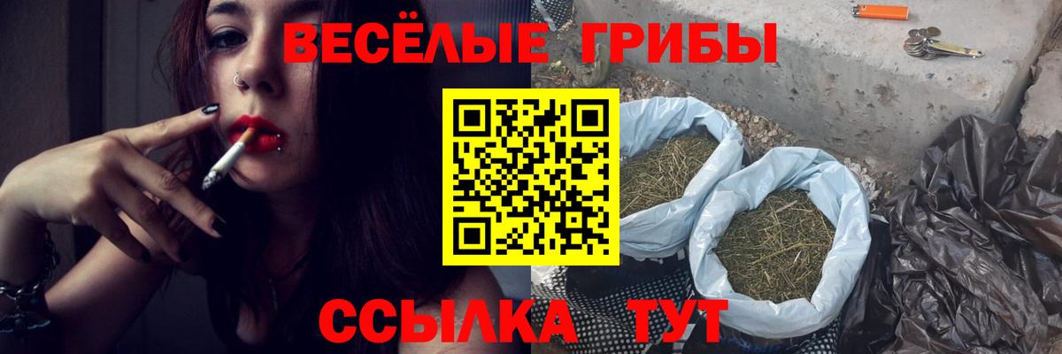  Кокаин Сунжа