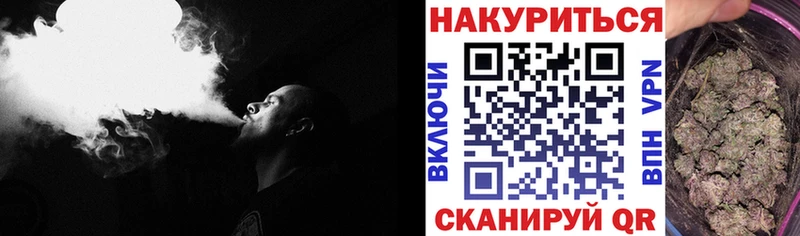 Канабис SATIVA & INDICA  Сунжа 